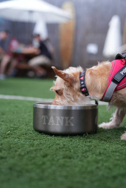 Custom Engraved Dog Bowl (TEST) - Toadfish - Smartgrip Tumblers